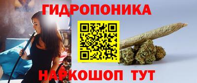 молекула духа Кандалакша