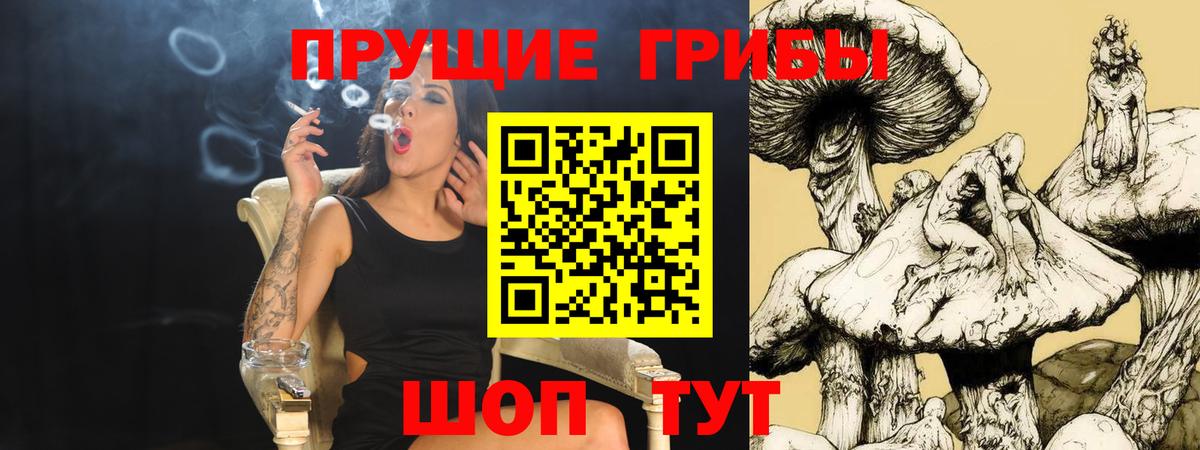 Галлюциногенные грибы MAGIC MUSHROOMS Алапаевск